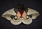 #匠心手作# Yumi Okita 大型编织物雕塑 飞蛾和蝴蝶
