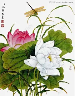 手绘唯美荷花 花边 花边模板 花鸟 荷花 荷花素材 藤蔓 装饰画 野花 元素 免抠png 设计图片 免费下载 页面网页 平面电商 创意素材
