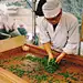 软装人物定位——茶艺师