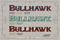 西部牛仔电影海报设计装饰英文字体_牛鹰插图AI分层文件素材