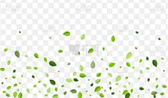 forest foliage branch green greens