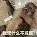 发明这些表情包的人简直了哈哈哈哈哈哈 - 小红书