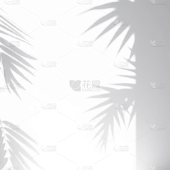 Qa6ce4Bk采集到窗影
