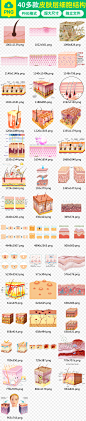 皮肤层结构细胞组织护肤品保养PNG素材 位图, RGB格式高清大图， 使用软件为 Photoshop CC(.png) 皮肤层 皮肤组织 皮肤美容 干燥皮肤问题 皮肤护理 敏感肌肤问题 水润水嫩肌肤 修复肌肤 肌理 美容护肤 补水 渗透 锁水 吸收养分 豆豆 皮肤衰老老化 毛孔 化妆品类目 弹性 素材 护肤品 结构 组织结构 组织 皮肤结构 保养 细胞结构 细胞素材 皮肤细胞 皮肤素材 层模板 蓝天层素材 女性皮肤