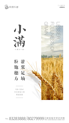 大阿欣不会取名采集到节气
