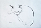 猫的姿态，慵懒。作者：Kellas Campbell