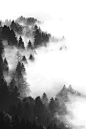 在云间 ​​​​