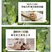 源文件下载【美容护肤医美轮播大众美团头图 】编号：18700026379805787
