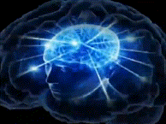 头脑风暴是什么意思？头脑风暴bgm叫什么名字？表情包gif_9万个为什么