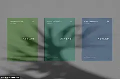 源文件-纸类海报名片办公场景品牌形象样机psd素材