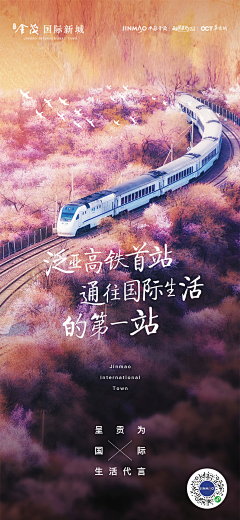 ynncsky采集到随便搜