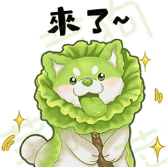 滴~滴滴~采集到表情包