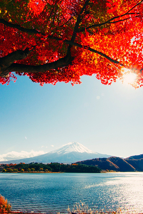 富士山秋意。日本