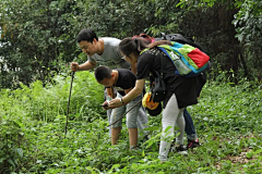吃卡布奇洛的花生采集到研学图片