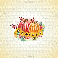 贺卡,秋天,南瓜,叶子,色彩鲜艳,农业,背景分离,植物,枫树,幸福