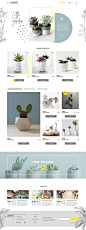 Web design for potted plants shop