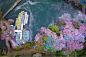Danilo Dungo在东京「井之頭公園」空中摄影的「桜の河」