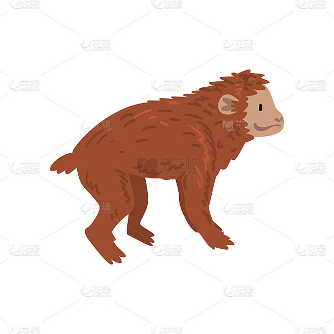 Ape, Monkey Animal Progress, Evolutionary Process