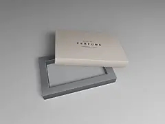大气卡片简洁包装盒样机
