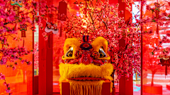 Annie·Guo采集到bing