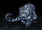 Snow leopard black and white posture eyes cat wallpaper | 2048x1484 | 348888 | WallpaperUP