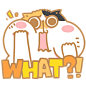 【表情包】汤汤与丢丢的小猪咪日常 