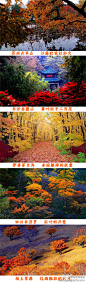 微博全球旅游：11月，去看秋末最压轴的美景吧