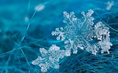 唯美晶莹剔透的雪花高清壁纸桌面壁纸4