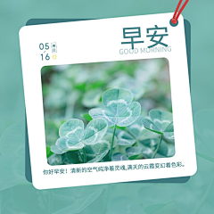 林shine采集到微信配图