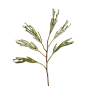 创意绿色珊瑚果仿真植物家居装饰客厅玄关样板间花瓶插花干花摆件