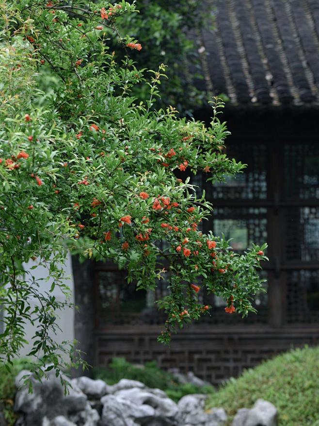 微博 – 随时随地发现新鲜事