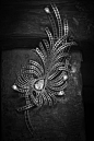 揭秘香奈儿高级珠宝制作过程 : 优雅而充满柔美韵味的羽毛为香奈儿女士带来了异彩纷呈的灵感。@北坤人素材