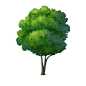 illustration of a tree Stock Photo - 45291593