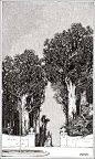 Franklin Booth 062
