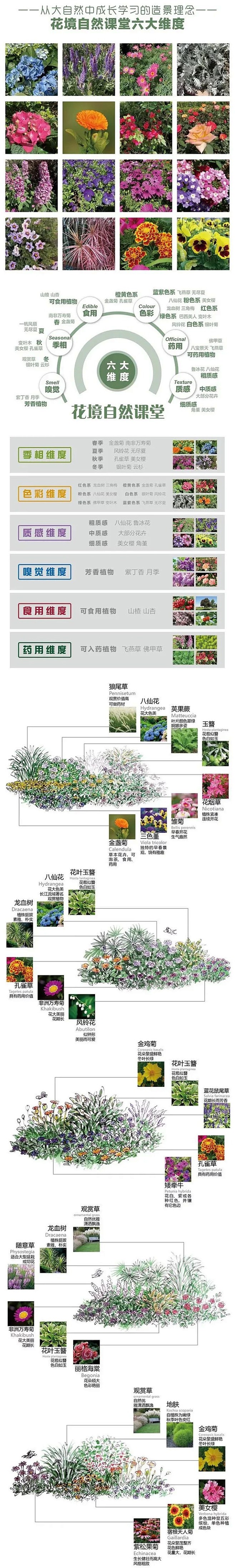 植物认知