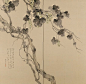 MATSUBAYASHI Keigetsu（松林桂月 Japanese, 1876-1963） Ripening Grapes（Pair of byobu or folding screens in two panels）1934 painted on silk in sumi ink, gofun or clam shell gesso, and mineral pigments more...