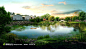 湖泊上游着的鸭子图片素材，乡间湖泊风景图