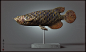Arowana antique (铜胎珐琅龙鱼）, Zhelong XU : It‘s a Project for our online courses in early next year.Orginal design by myself. 
This is lesson one,"Overview of Zbrush-Keyshot-Substance painter Workflow "
为我们明年初的在线课程准备的案例之一，”流程总览，从zbrush到substancepain