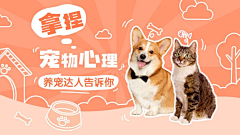 JamesPPT采集到常小二PPT