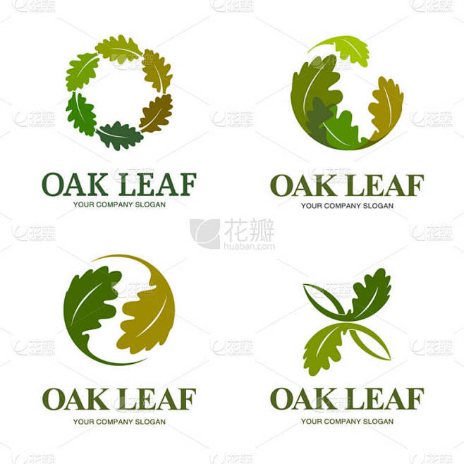 橡树叶矢量标志设置。Logo 模板.