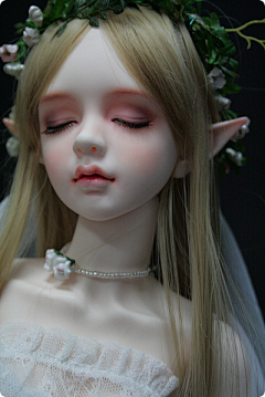 TG8cZazV采集到BJD