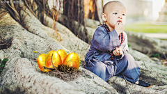 火锅香菜采集到小说