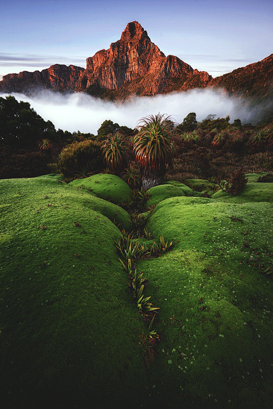 风景 背景 (249)