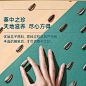 洽洽葵珍大瓜子原味葵花子恰恰年货礼盒188g*6黑金罐零食批发囤货-tmall.com天猫