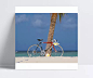 椰树旁的自行车高清海景图片JPG|风景,风景图片,高清,海景,海洋,沙滩,摄影图片,椰树,自行车,高清高清