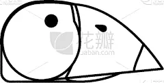 巨嘴鸟,动物,鸟类,热带气候,可爱的,鸡尾酒,自然,动物园,热带雨林,纯净
