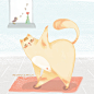 瑜伽猫 | Missssscat - 原创作品 - 涂鸦王国插画