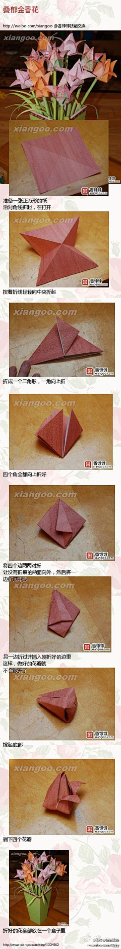 FPOU采集到折纸，制作