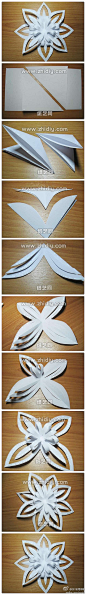 Teach you to cut out the pretty flowers, pretty, oh ~ (Paper Network)