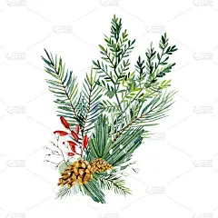 水彩圣诞花束与冷杉树枝，树叶，松果。冬季绿叶横幅为圣诞卡，贺卡，新娘卡，婚礼邀请，婴儿送礼。